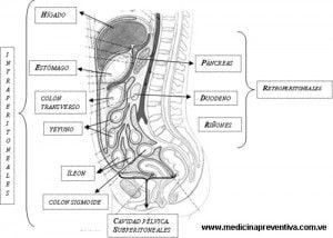 Anatomia y protocolo TC del abdomen Imagen Diagnóstica y Enfermería